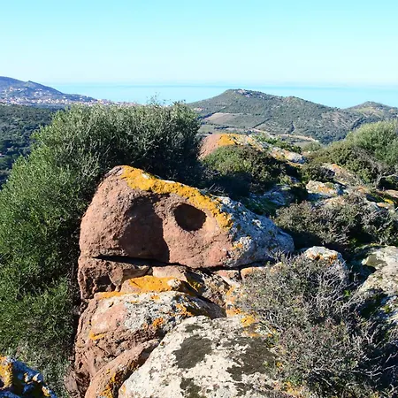Muntelgu